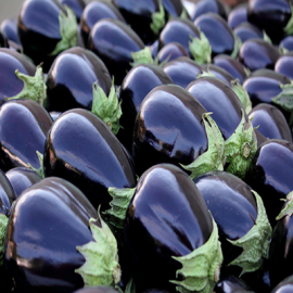 Aubergine