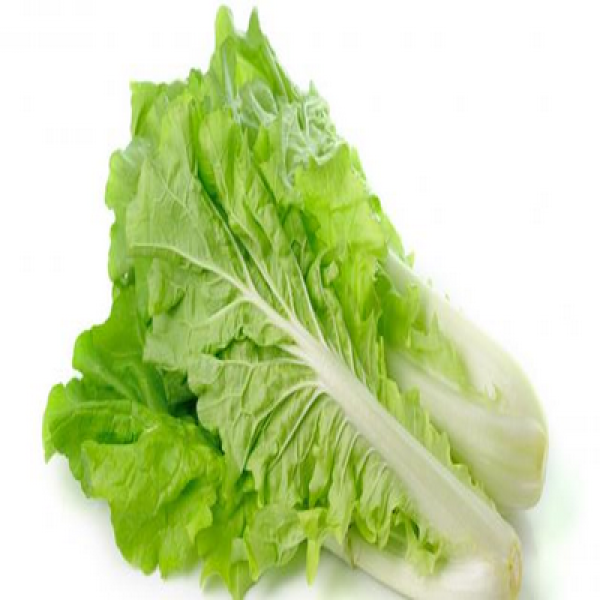 Lettuce