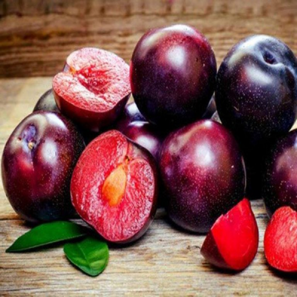 Plum