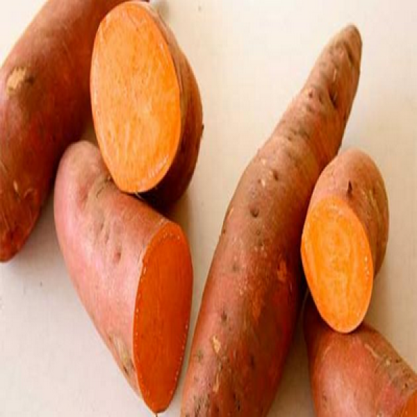 Sweet Potato