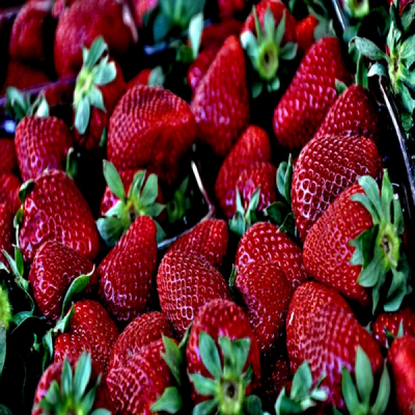 Strawberries