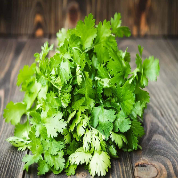 Coriander