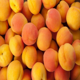 Apricot